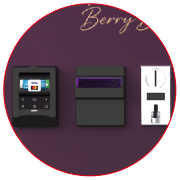 B84 customization - Local Payment Setup