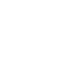 B84 Local Market Adaptation