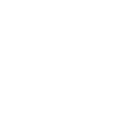 Solution icon