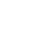 Solution icon